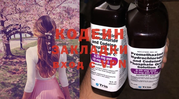 дурь Алексин