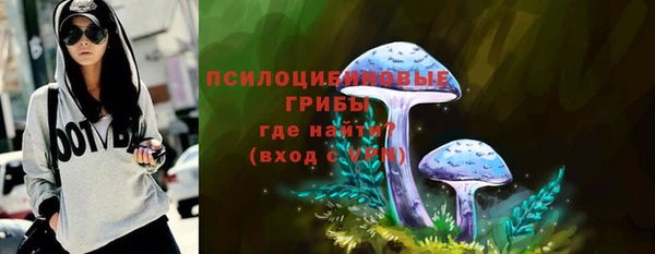 дурь Алексин